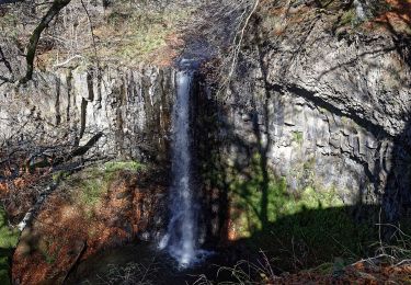 Excursión A pie Égliseneuve-d'Entraigues - La cime des pres - Photo