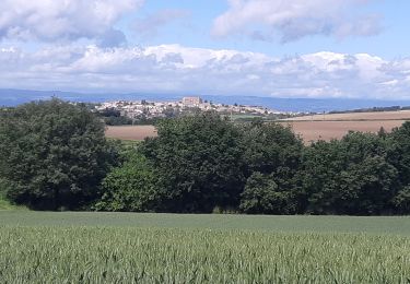 Tour Wandern Cailhavel - Tour autour de Cailhavel 11 - Photo