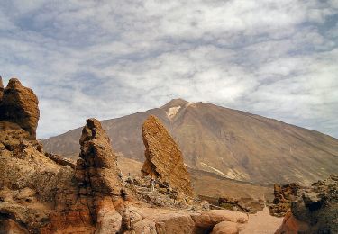 Tour Zu Fuß La Orotava - S-7 Montaña Blanca-La Rambleta - Photo