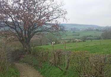 Trail Walking Jalhay - Fouyr welkenraedt  - Photo