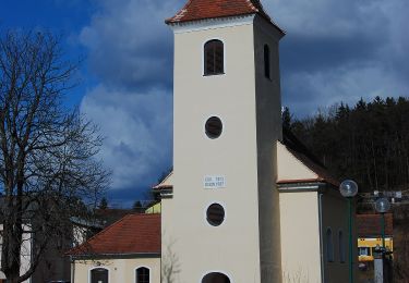 Tocht Te voet Rohr im Burgenland - Rohr - Stegersbach - Rohr - Photo