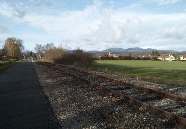 Tour Hybrid-Bike Sentheim - Courses ecolo - Photo