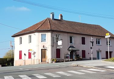 Percorso Marcia Châlonvillars - Châlonvillars - les étangs - fort du Salbert - grottes Cravanche - Photo