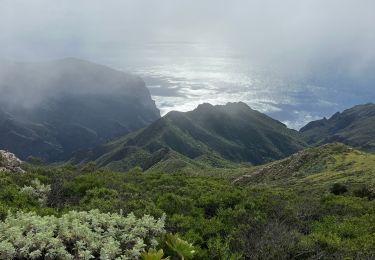 Randonnée Marche Buenavista del Norte - Teno Alto  - Photo