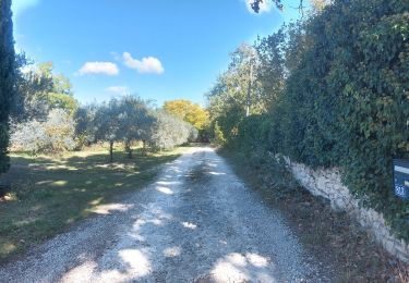 Randonnée Marche Pernes-les-Fontaines - Pernes Vaucluse lolo - Photo