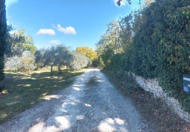 Tour Wandern Pernes-les-Fontaines - Pernes Vaucluse lolo - Photo