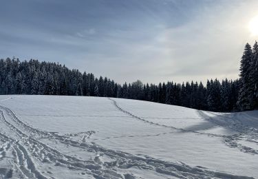 Tour Wandern Haut Valromey - Lachat  - Photo