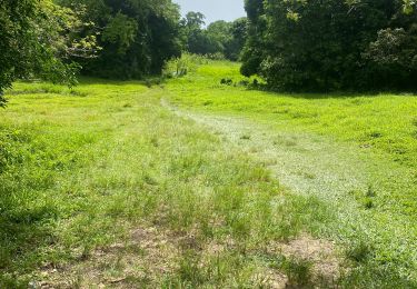 Tocht Trail Sainte-Anne - Belle mare  - Photo