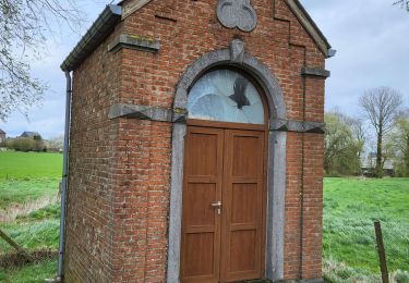 Tocht Stappen La Bruyère - Bovesse 020424 - Photo