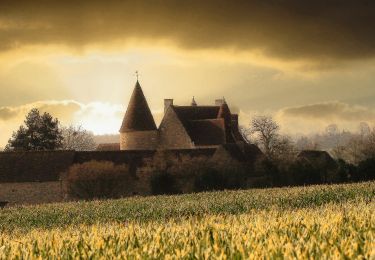 Tour Wandern Perche en Nocé - La fontaine Froide 10 km - Photo