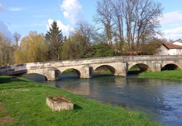 Randonnée Marche Beurey-sur-Saulx - beurrey la taille jacquemin - Photo