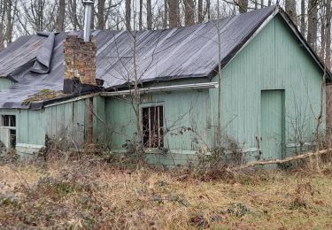 Tour Wandern Ciney - pessoux ac 3 - Photo