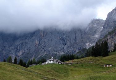 Tocht Te voet Mühlbach am Hochkönig - AT-86 - Photo