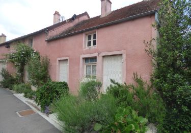 Excursión A pie Flavigny-sur-Ozerain - Des Anis au Vignoble - Photo