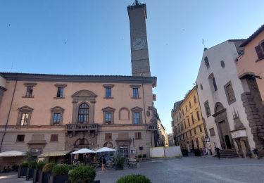 Tocht Stappen Viterbo - CR_Francigena_DN_50_Viterbe_Vetralla_20230603 - Photo