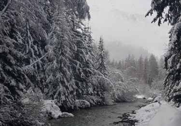 Percorso Racchette da neve Champagny-en-Vanoise - pralongnan - Photo