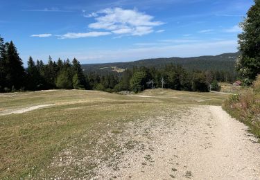 Tocht Stappen Gex - Balade à Col de la Faucille, Gex - Photo