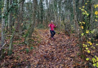 Tocht Stappen Montagny-lès-Buxy - Yes we Cam - Photo