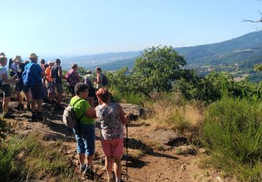 Tocht Stappen Pavezin - Crêt de Baronnette - Photo