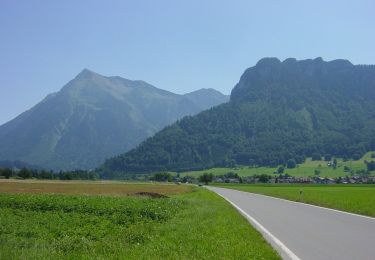 Randonnée A pied Reutigen - Reutigen - Lengeberg - Photo