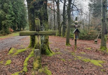 Tour Wandern Érezée - amonines 3/03/2020 - Photo