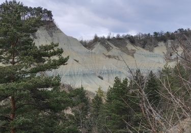 Excursión Senderismo Rosières - la Galoche et le ravin de Corboeuf - Photo