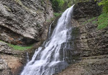 Trail Walking Saint-Pierre-d'Entremont - saint meme - Photo