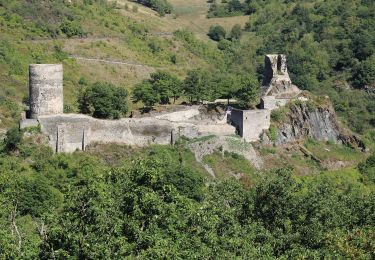 Tocht Te voet Bacharach - Rundwanderweg Esel (gelber Pfeil) - Photo