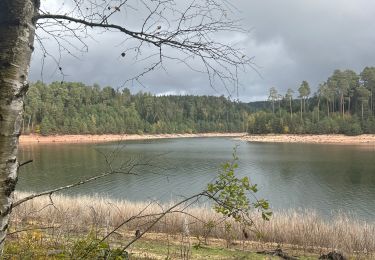 Tour sport Pexonne - Lac de pierre percée  - Photo