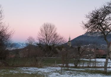 Trail Walking Saint-Paul-en-Chablais - La Chapelle d'Abondance - Photo