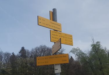 Percorso Marcia La Trinité - Les Tours de Montmayeur au départ de la Trinité via col de Cochette - Photo