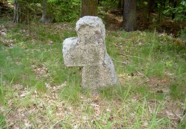 Percorso A piedi Mantel - Lindachrundweg - Photo