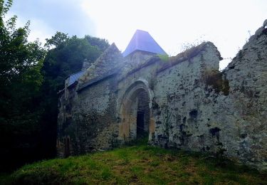 Tour Zu Fuß Saint-Martin-des-Champs - Vallée de la Pennélé - Photo