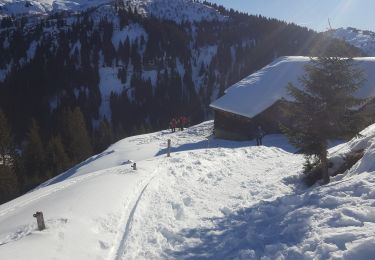 Trail Walking Notre-Dame-de-Bellecombe - mont Rond ND de Bellecombe - Photo