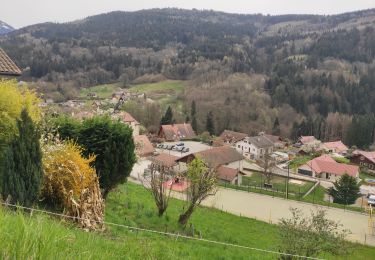 Trail Walking Laval-en-Belledonne - Laval montfallet - Photo