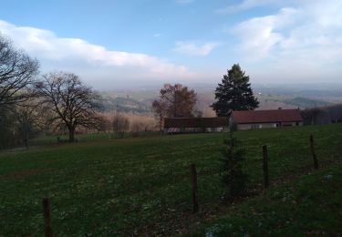 Tour Wandern Mont - 22/01/20 - Photo