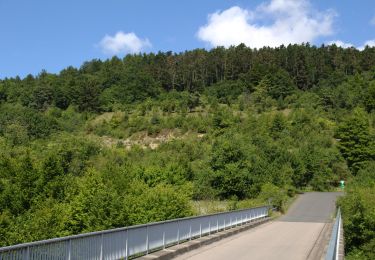 Tocht Te voet Steinau an der Straße - Steinau a. d. Straße, Wanderweg 5 - Photo