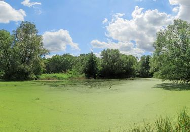 Excursión A pie  - Bodenkundlicher Lehrpfad Weiherfeld - Photo