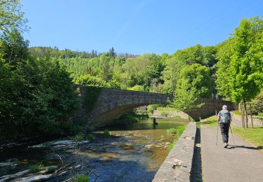 Tour Wandern Kiischpelt - Kautenbach - Sentier local KI 2 - Photo