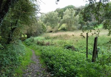 Tour Wandern Tinlot - Ramelot  - Photo