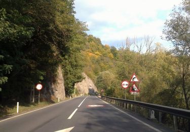 Trail On foot  - Răstolița (DN15)-Poiana Cofu - Photo