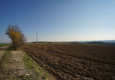 Tocht Te voet Horb am Neckar - Horb - Glatttal - Photo