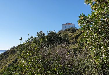 Tour Wandern Cavalaire-sur-Mer - cavalaire le rayol par le dattier retour par malatra - Photo