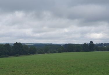 Tour Wandern Habich - rando moulin d anlier 31/07/2021 - Photo