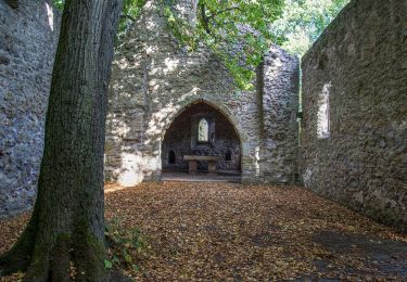 Percorso A piedi Meißner - Kupferbachtal und Krösselberg - Photo