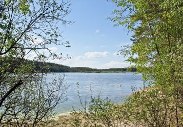 Percorso A piedi Gemeinde Heidenreichstein - Bruneiteichweg - Photo