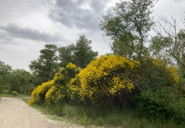 Tour Wandern La Roque-d'Anthéron - Marche de Laroque d’Anthéron vous avez dit 12h30 soleil - Photo