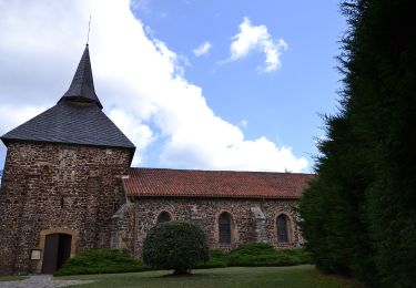 Tour Zu Fuß Mézos - Sentier de randonnée Mézos - Photo