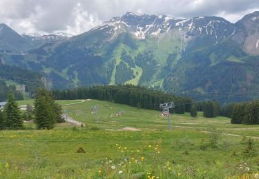 Tour Wandern Morzine - Arête de super Morzine - Photo