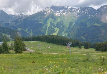 Percorso Marcia Morzine - Arête de super Morzine - Photo